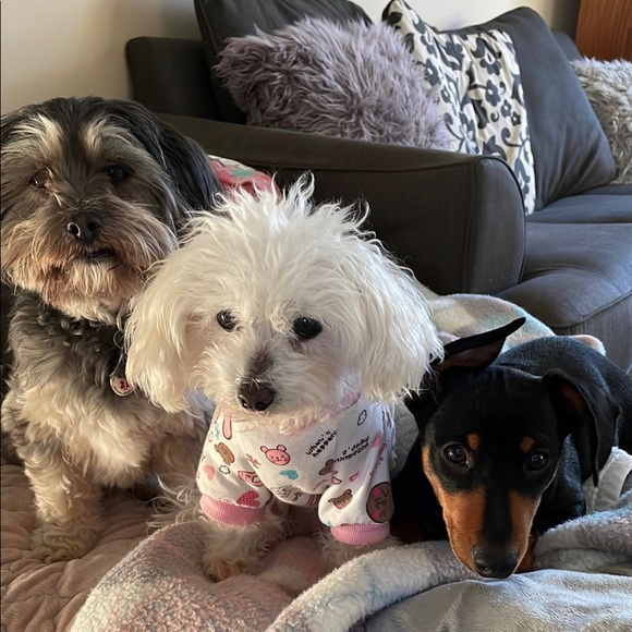 Random clothing in new or slightly used condition - Picture 9 of 10